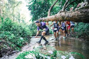 BIB: 
                            <button type="button" onclick="openModal(25466951)" class="btn btn-primary btn-sm float-right btn-popup" data-toggle="modal" data-target=".modal-high-quality">
                        <i class="fas fa-shopping-cart"></i> Add to Cart
                    </button>
                                            <button type="button" onclick="isThisMe(25466951, true)" class="btn btn-success btn-sm float-right btn-popup btn-isme hidden" data-toggle="tooltip" data-placement="bottom" title="นี่คือรูปของคุณใช่ไหม คลิกที่นี่เพื่อเอาเข้าอัลบั้ม">
                        <i class="fas fa-plus"></i> Add to album
                    </button>
                    <button type="button" onclick="isThisMe(25466951, false)" class="btn btn-warning btn-sm float-right btn-popup btn-isnotme hidden">
                        <i class="fas fa-ban"></i> Remove from album
                    </button>